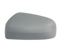 Specchio esterno - fascia BLIC 6103-09-1213351P