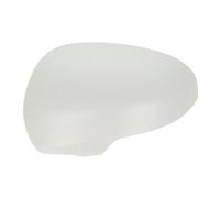 Specchio esterno - fascia BLIC 6103-19-2002495P