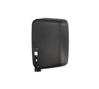 Specchio esterno - fascia PACOL RVI-MR-019R