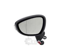 Specchio Esterno Sinistro Con Indicatori JOHNS Per Ford Fiesta VI