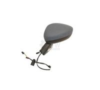 Retrovisore sinistro per C3 2010 al 2016 Elettrico freccia Base Nera 7 pins