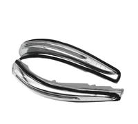 Specchio laterale compatibile Ruota Indicatore di lampeggiatore della luce per i modelli Santa Fe 2013-2016 2.0L 2.4L 3.3L Sostituzione LH a sinistra LH o RH destra(Left Right 2pcs)