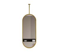 Specchio Ovale da Parete con Asta di Supporto, ruotabile a 360°, Ideale per casa o Hotel, con Cornice in Metallo e Asta di Supporto (Oro, 60x100 cm)