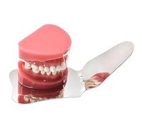 Specchio per fotografia dentale in acciaio inossidabile, riflettore orale per uso ortodontico, strumento professionale per l'esame dei denti(B)