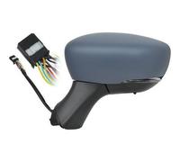 SPECCHIO RENAU SINISTRO CLIO, 19- 10 PIN