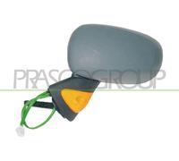 Specchio retrovisore esterno RN3087324P PRASCO per RENAULT