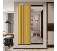 Specchio scorrevole a figura intera con dipinto decorativo nascosto, design salvaspazio da appendere, per soggiorno, camera da letto