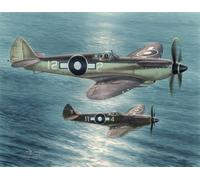 Special Hobby 100-SH48116 - 1:48 Seafire Mk.xv " Lontano East Servizio "