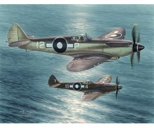 Special Hobby 100-SH48116 - 1:48 Seafire Mk.xv " Lontano East Servizio "