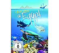 Special Interest (DVD) Special Interest