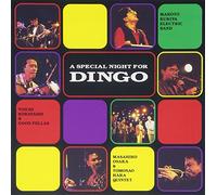 Special Night For Dingo - Special Night For Dingo