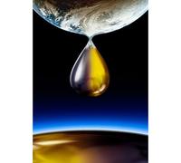 Special Presentation: Crude