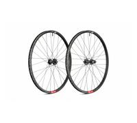 Special Set Ruote 29 er DT Swiss EX441 - 350 DEG Boost Raggi Competition Race