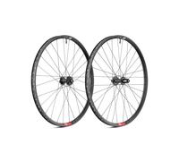 Special Set Ruote 29 er DT Swiss FR541 - 350 DEG Boost Raggi Competition Race