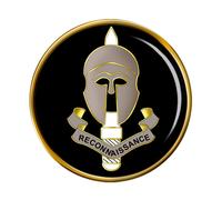 Speciale Ricognizione Regiment, Britannico Militare Spilla