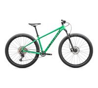 Specialized Rockhopper Expert - Verde M / Verde