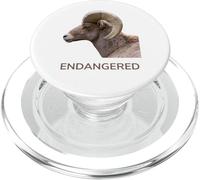 Specie animali in via di estinzione Pecora Bighorn del deserto PopSockets PopGrip per MagSafe