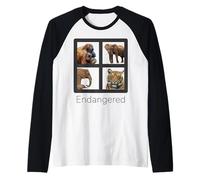 Specie in Pericolo di estinzione Orangutan Tiger Elefanti Maglia con Maniche Raglan