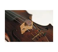 Spector Sordina per violino - Rame