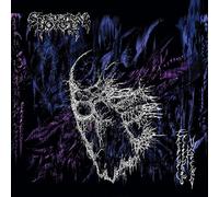 Spectral Voice - Eroded Corridors Of Unbeing
