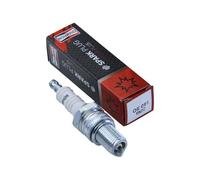 Spedizione Gratis Champion RN2C01 Candela RN2C01