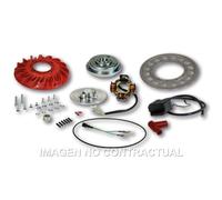 Spedizione Gratuita Accensione Malossi Vespower Vespa Px 125 Per Moto Ricambi