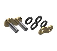 Spedizione Gratuita Gancio Catena Afam Tipo Rivetto MR A428XMR2-G XS-Ring 428