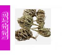 ⭐SPEDIZIONE VELOCE⭐ 400 grammi - Rosa di Gerico Fiore di Maria كف مريم