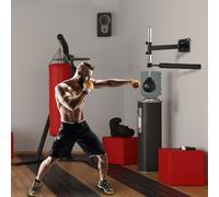 Speed Bag a Parete per Boxe e MMA ad Altezza Regolabile con Asta, in Acciaio e PU, 79x72x20 cm, Nero