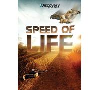 Speed of Light Sd - Speed of Light Sd