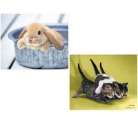 Speedlink 2x PACK Tappetino Mouse Gatti + Coniglio Motiv Slim 1,5mm