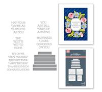 Spellbinders Flawless Sentiments Press Plate & Die Set da The Gorgeous You Collection