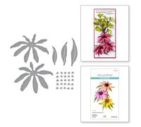 Spellbinders Fustelle di Echinacea (Coneflower) da The Summer Solstice Garden Collection di Susan Tierney-Cockburn