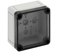 Spelsberg 11100301 TK PS 99-6-t Contenitore da installazione 94 x 94 x 57 Polic