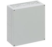 Spelsberg 74040201 AKL 2-g Contenitore da installazione 300 x 300 x 132 Polisti