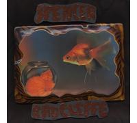 Spencer Radcliffe - Looking In