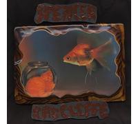 Spencer Radcliffe - Looking In