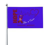 Speranza Per Una Cura Per La Consapevolezza Del Mal Di Testa Bandiere Di Benvenuto Resistente Alle Intemperie Bandiera Da Cortile Divertente Bandiere Da Giardino Per Interni Patio Fattoria 90X150Cm