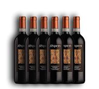 SPERI Valpolicella Classico Sup. Ripasso Corvina veronese, Rondinella, Molinara 2019 13,5% (6 X 0,75 l)