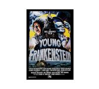 SPERKY Poster del film Young Frankenstein su tela, decorazione artistica da parete per soggiorno e camera da letto, senza cornice, 40 x 60 cm
