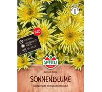Sperli Girasole - Lemon Cutie - 1 conf.