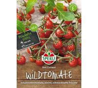 Sperli Pomodoro Selvatico - Rote Johannisbeertomate - 1 conf.