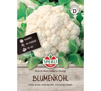 Sperli Semi di cavolfiore Bola de Neve 80994 - adatti per il vaso, resistenti e resistenti al calore, semi di cavolfiore, cavolfiore, fresco, semi per 80 piante