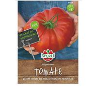 Sperli Semi di pomodoro di carne "Gigantomo" F1 83529, sementi vegetali