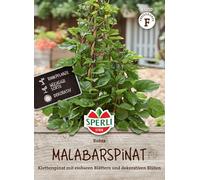 Sperli Semi di spinaci Malabar Rubra - Spinaci rampicanti ad alto rendimento, fiori decorativi, semi di spinaci per giardino e balcone, coltivazione di verdure, semi per verdure ricche di vitamine