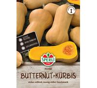 Sperli Zucca Butternut - Hunter - 1 conf.