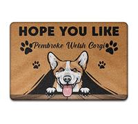 Spero Che Ti Piaccia Pembroke Welsh Corgi, Divertente Amante Dei Cani Tappeti D'Ingresso Lavabile Tappeto Ingresso Casa Divertenti Tappetino Da Bagno Per Soggiorno Terrazzo Balcone 40X60Cm