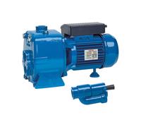 SPERONI APM150 1,5 HP Elettropompa Autoadescante Aspirazioni Profonde Monofase
