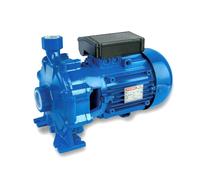 Speroni C 54 C 55 - Elettropompa Centrifuga Monogirante Trifase