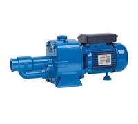 Speroni CAM 150 BR - Pompa Elettrica Autoadescante